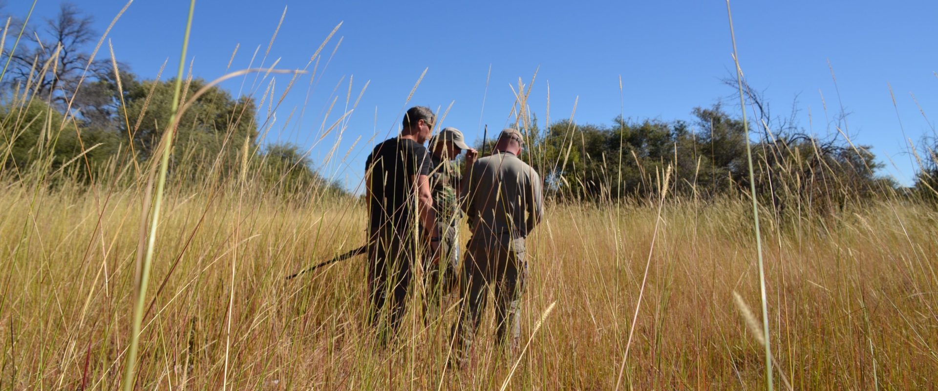Start your Botswana safari with us