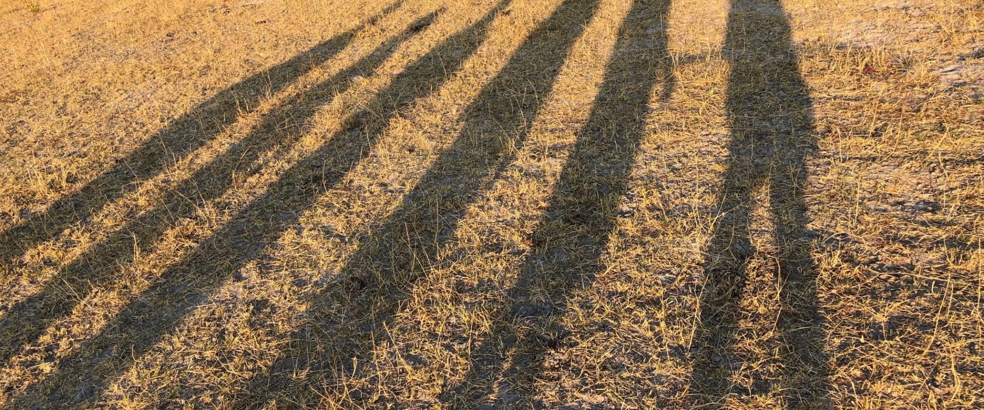 Walk where no man was before