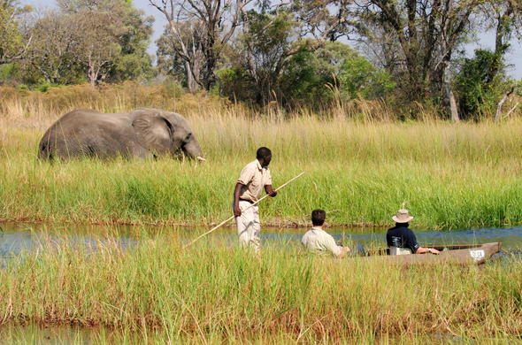 Experience safari from the water